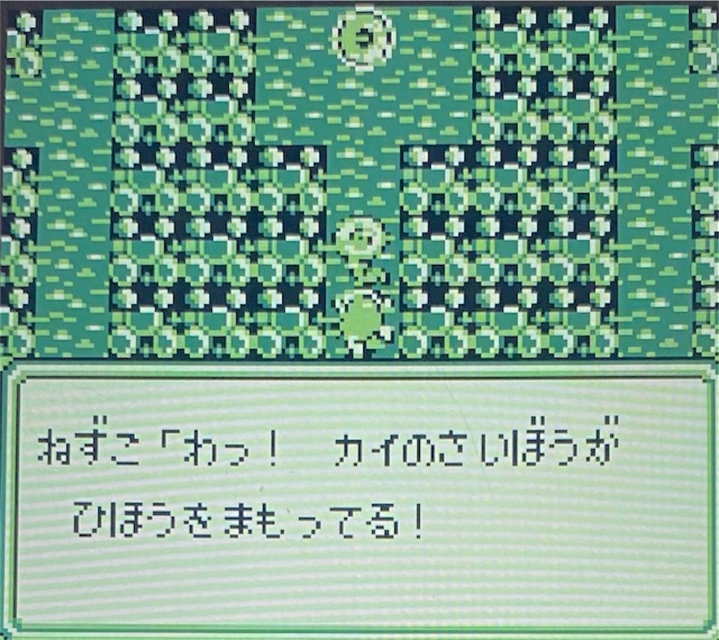 f:id:akirapuch:20210130180735j:image