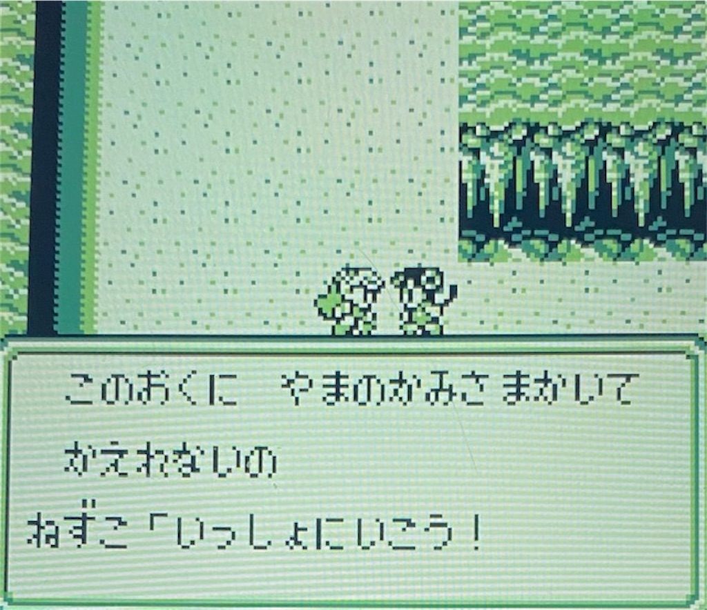 f:id:akirapuch:20210130182839j:image