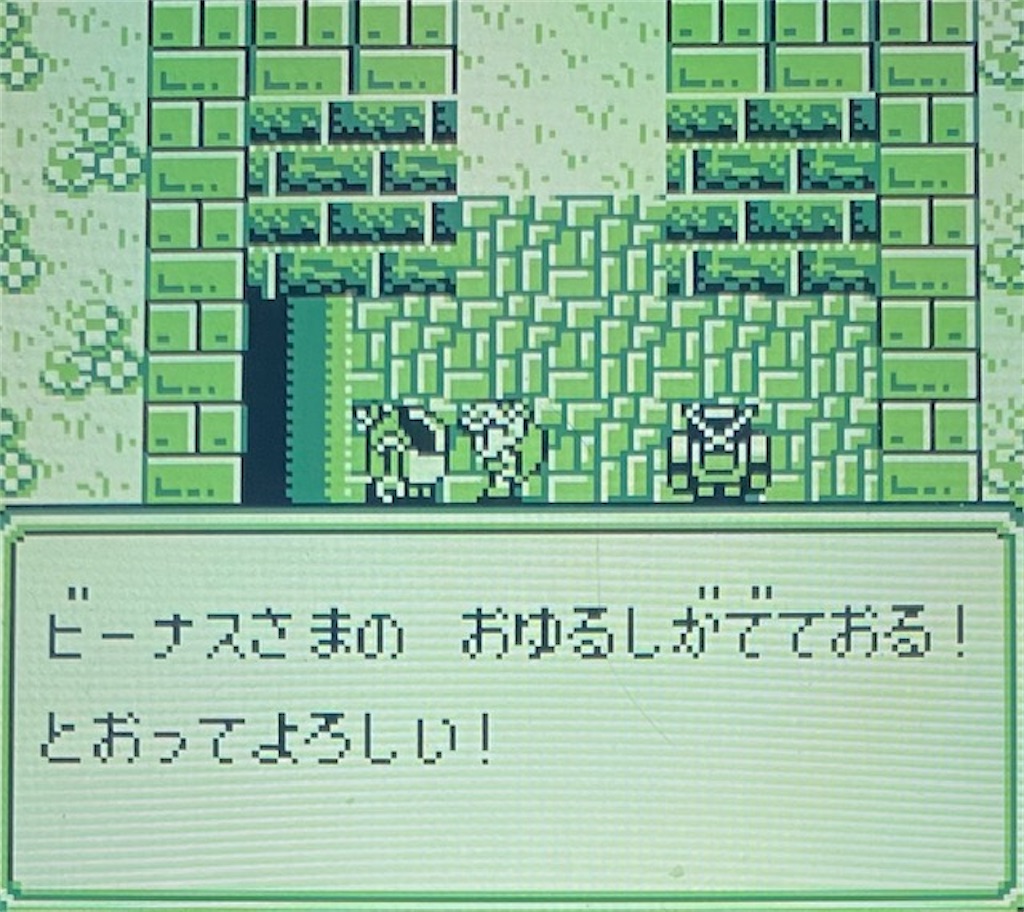 f:id:akirapuch:20210202193859j:image