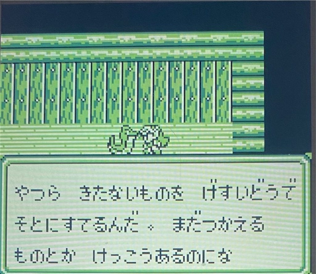 f:id:akirapuch:20210202194812j:image