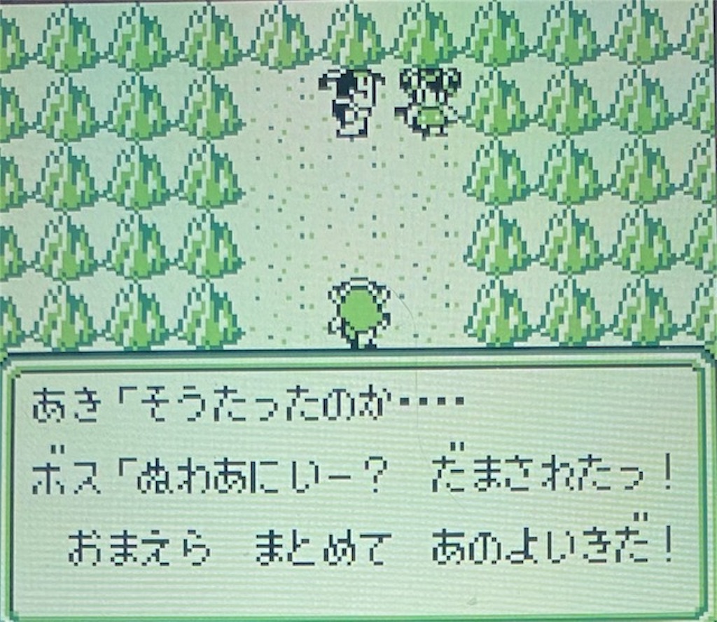 f:id:akirapuch:20210202194821j:image