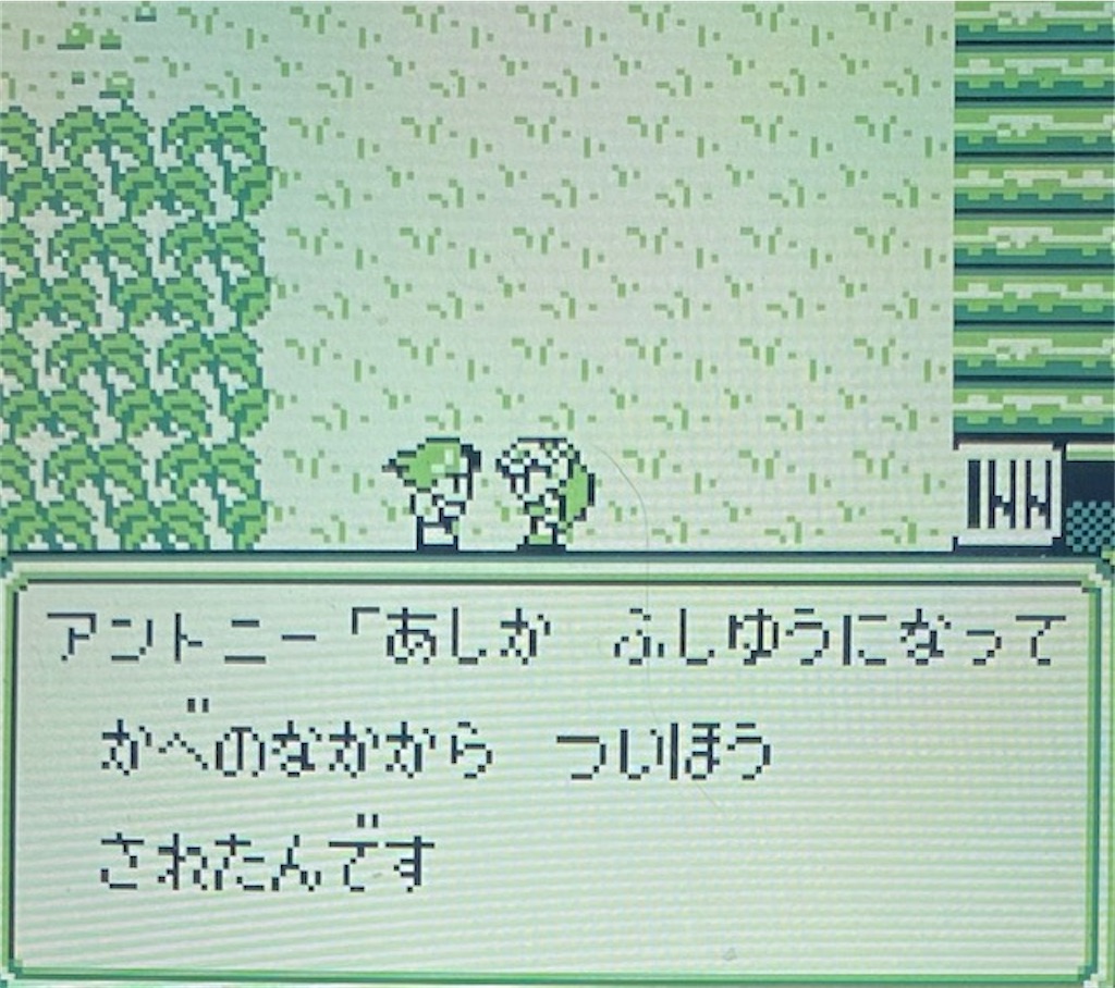 f:id:akirapuch:20210202194828j:image