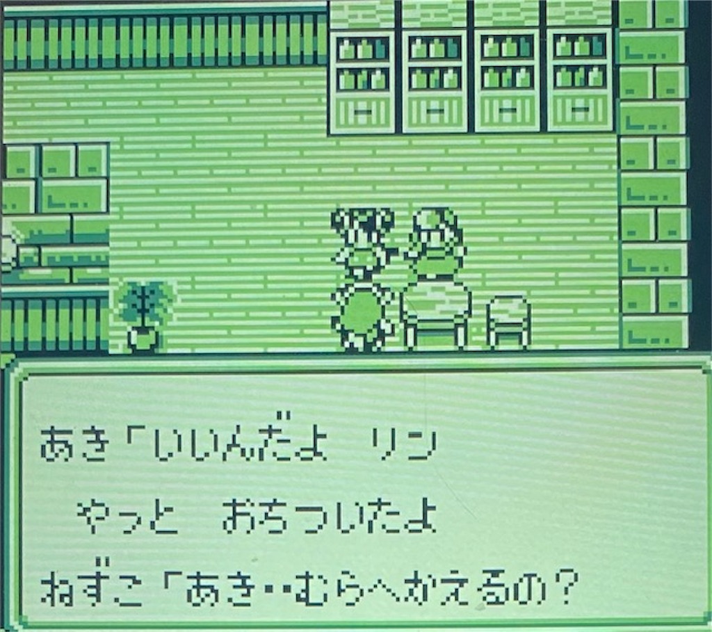 f:id:akirapuch:20210202194901j:image