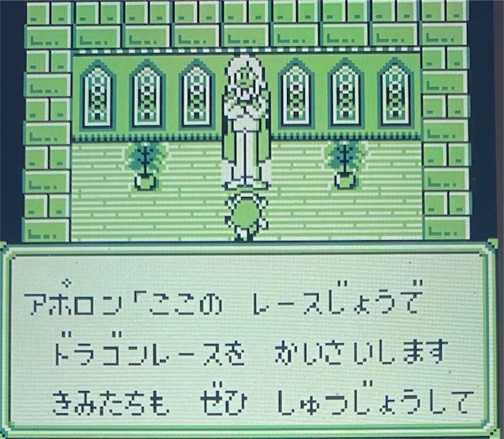 f:id:akirapuch:20210204194502j:image