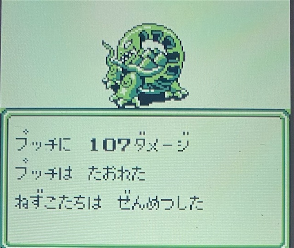 f:id:akirapuch:20210204194513j:image