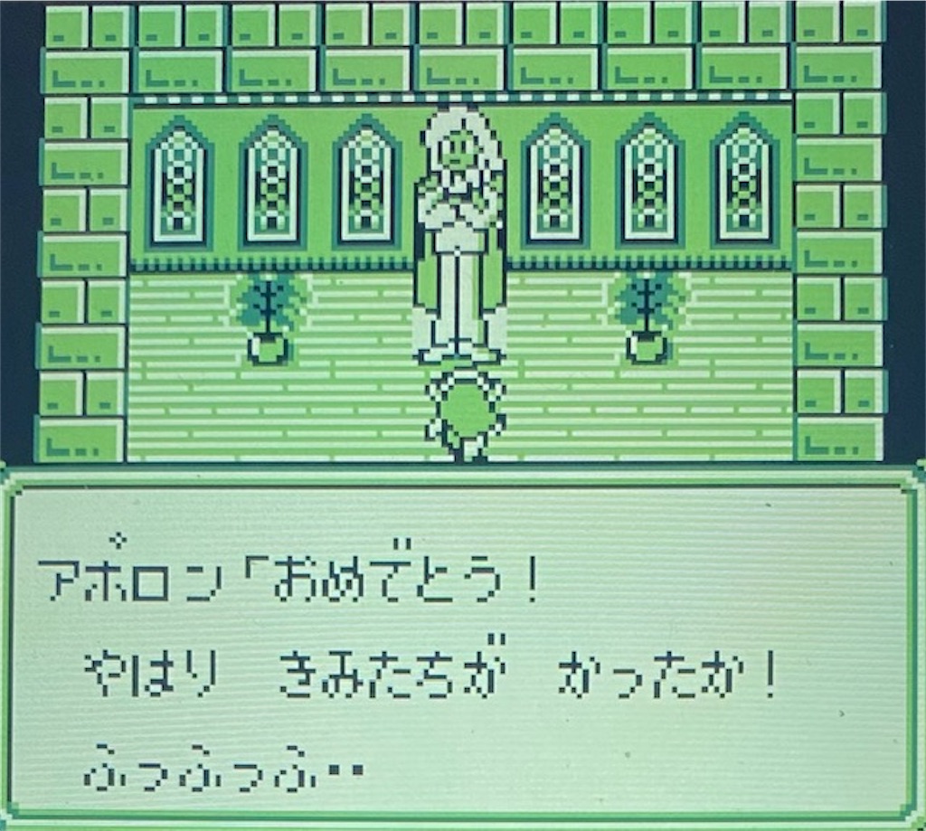 f:id:akirapuch:20210204194535j:image