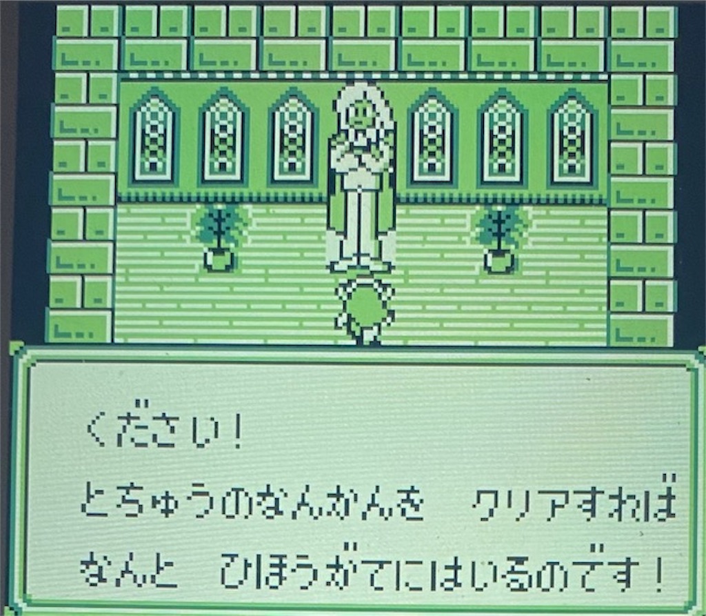 f:id:akirapuch:20210204194548j:image