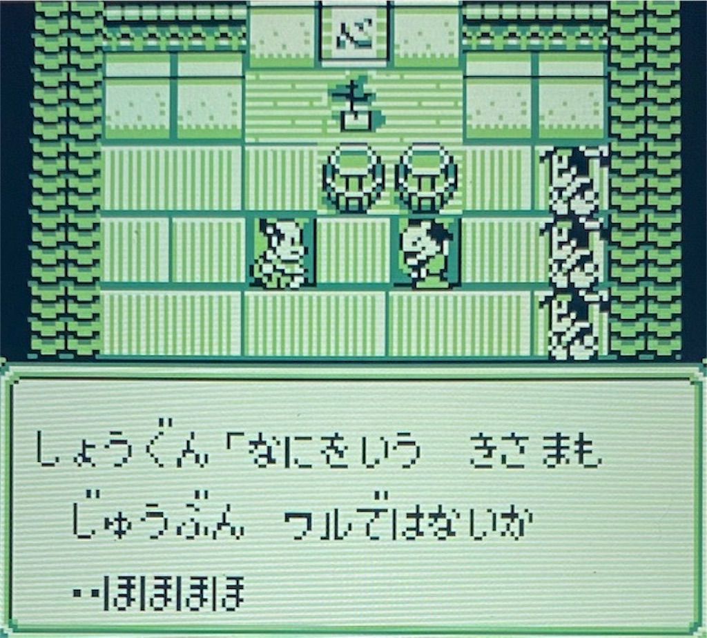 f:id:akirapuch:20210216180627j:image