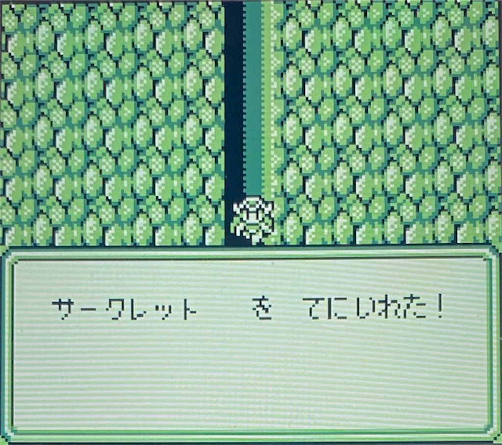 f:id:akirapuch:20210221163630j:image