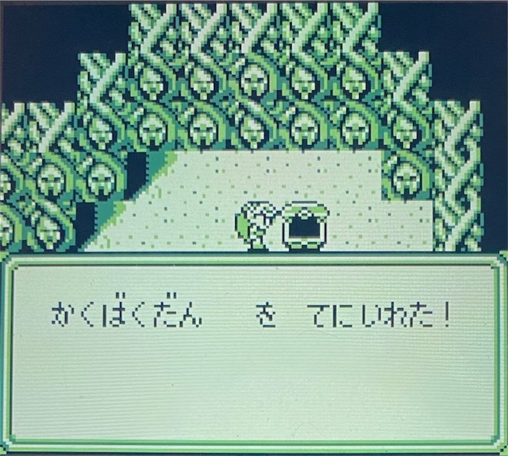f:id:akirapuch:20210221193428j:image