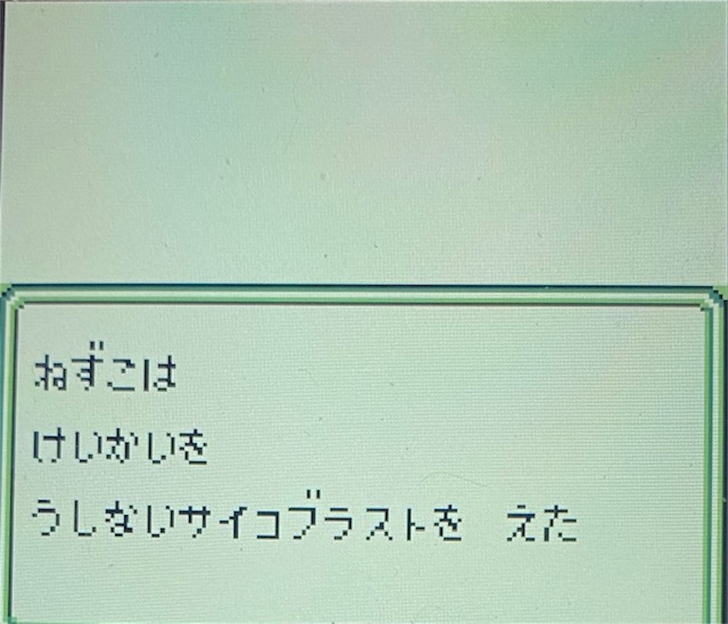 f:id:akirapuch:20210222214828j:image