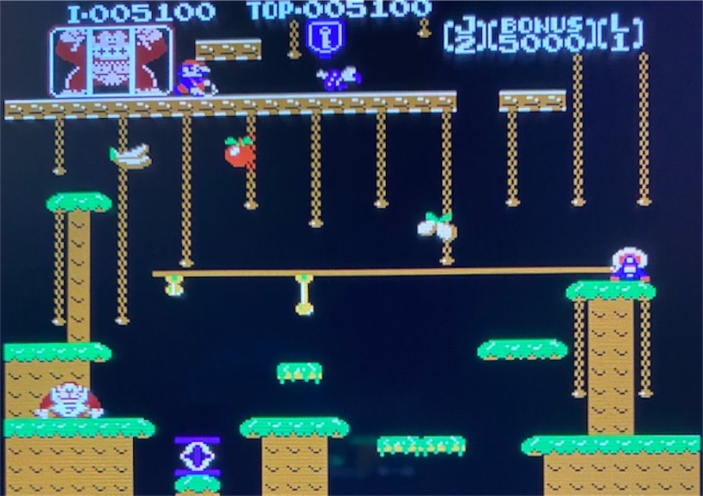 レトロゲーム・ドンキーコングJR攻略編】ゲームが苦手な人でもSwitchの