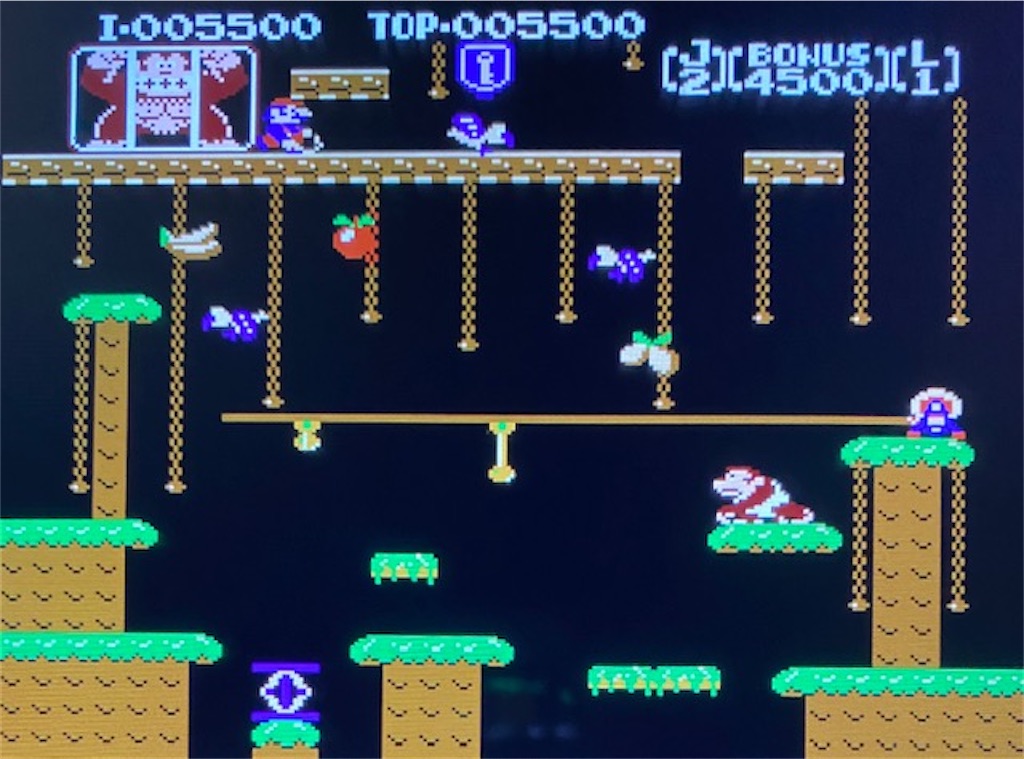 レトロゲーム・ドンキーコングJR攻略編】ゲームが苦手な人でもSwitchの