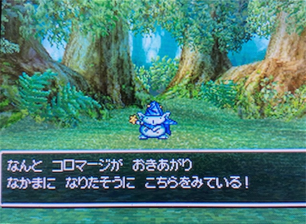 ドラクエ5DS版攻略その28】妖精の村周辺で仲間集め！コロシリーズ集め