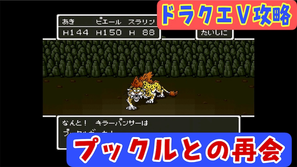 f:id:akirapuch:20221229065434j:image f:id:akirapuch:20221229065434j:image