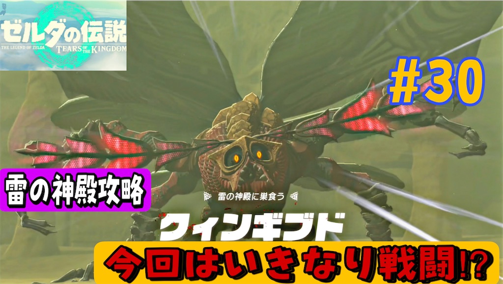 f:id:akirapuch:20230610190405j:image f:id:akirapuch:20230610190405j:image