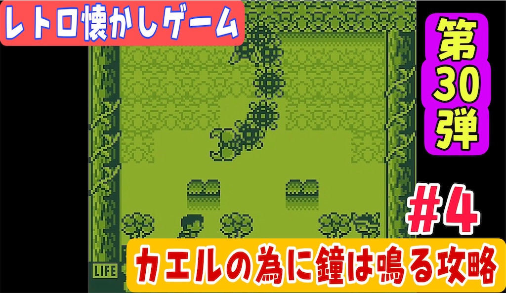 f:id:akirapuch:20240613131912j:image