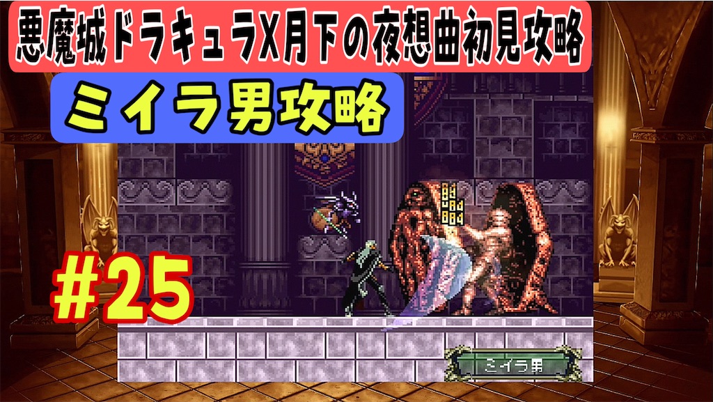 f:id:akirapuch:20240919102959j:image