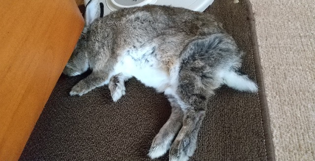 f:id:akirosso:20200802204854j:plain f:id:akirosso:20200802204854j:plain