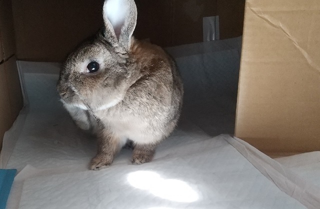 f:id:akirosso:20200822200746j:plain f:id:akirosso:20200822200746j:plain