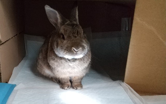 f:id:akirosso:20200822201004j:plain f:id:akirosso:20200822201004j:plain