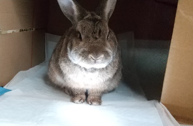 f:id:akirosso:20200822201147j:plain f:id:akirosso:20200822201147j:plain