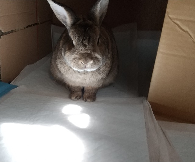 f:id:akirosso:20200822201554j:plain f:id:akirosso:20200822201554j:plain