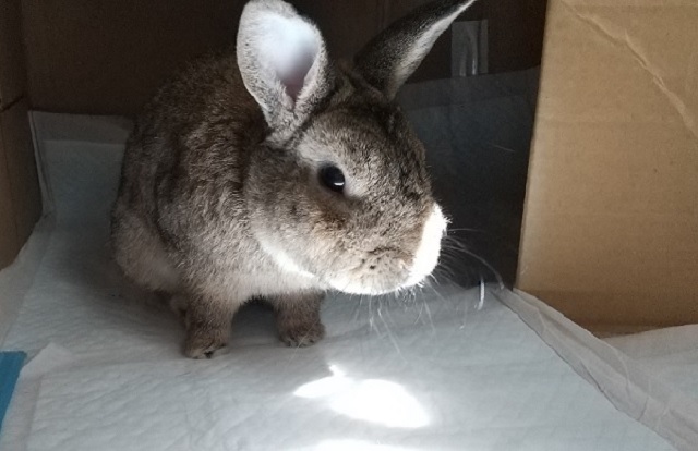 f:id:akirosso:20200822202043j:plain