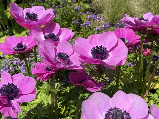 f:id:akirosso:20200829160349j:plain f:id:akirosso:20200829160349j:plain