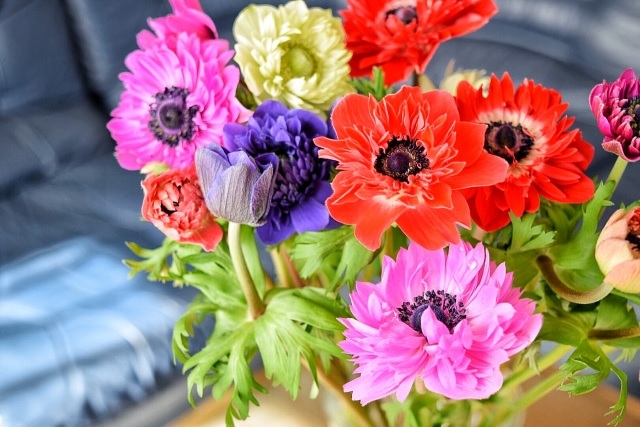 f:id:akirosso:20200829160723j:plain f:id:akirosso:20200829160723j:plain