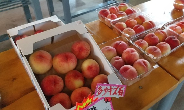 f:id:akirosso:20200922162227j:plain