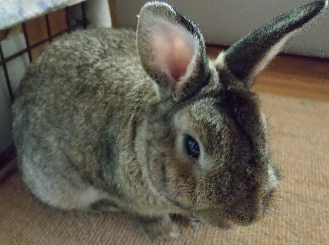 f:id:akirosso:20200923183044j:plain