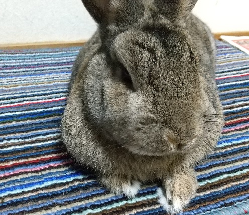 f:id:akirosso:20200923203355j:plain
