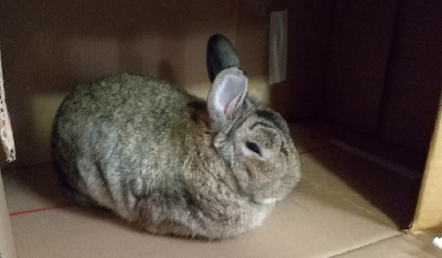 f:id:akirosso:20200930203449j:plain f:id:akirosso:20200930203449j:plain