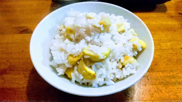 f:id:akirosso:20201005075407j:plain