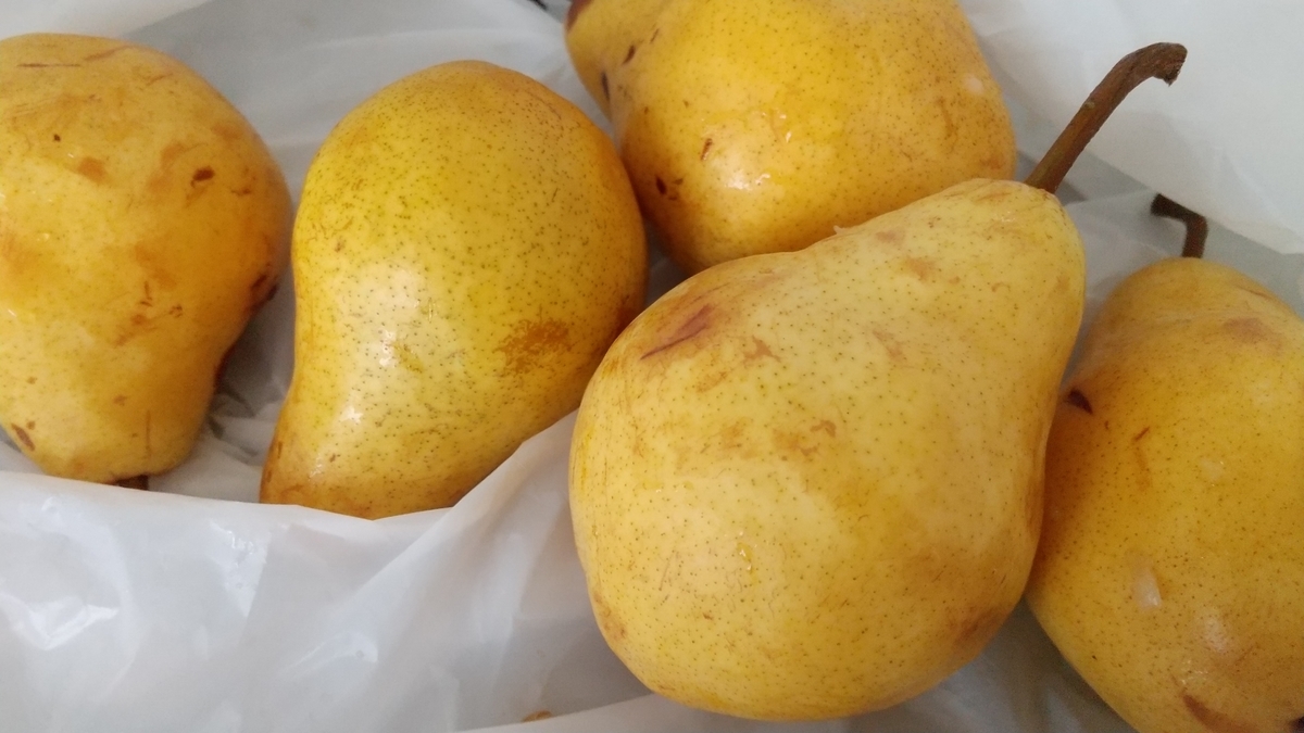 f:id:akirosso:20201023213412j:plain f:id:akirosso:20201023213412j:plain