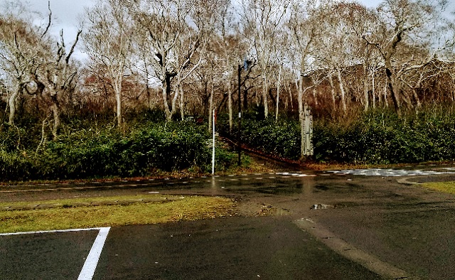 f:id:akirosso:20201028092948j:plain f:id:akirosso:20201028092948j:plain