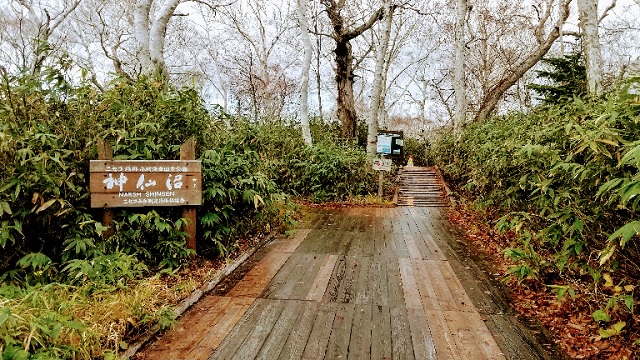 f:id:akirosso:20201028093439j:plain f:id:akirosso:20201028093439j:plain