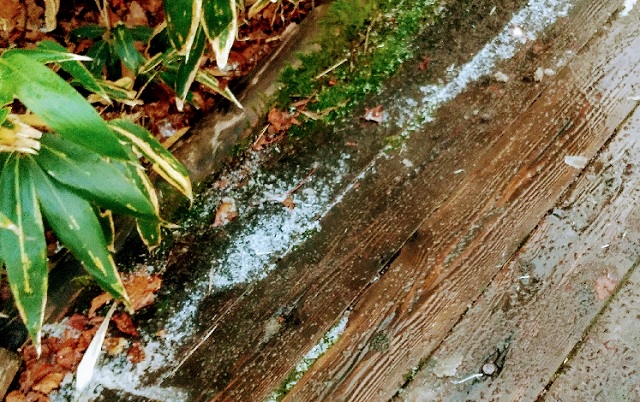 f:id:akirosso:20201028202030j:plain f:id:akirosso:20201028202030j:plain