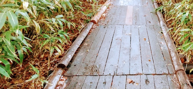 f:id:akirosso:20201028202826j:plain f:id:akirosso:20201028202826j:plain