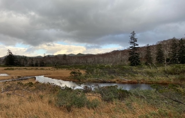 f:id:akirosso:20201028205100j:plain f:id:akirosso:20201028205100j:plain