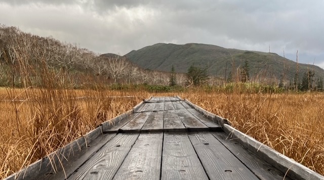 f:id:akirosso:20201028205126j:plain f:id:akirosso:20201028205126j:plain