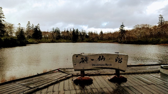 f:id:akirosso:20201028205618j:plain f:id:akirosso:20201028205618j:plain