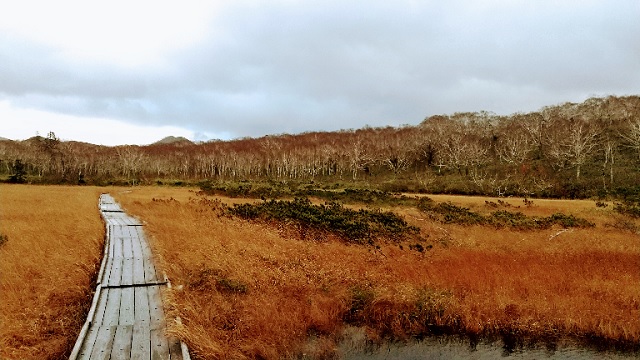 f:id:akirosso:20201028210126j:plain f:id:akirosso:20201028210126j:plain