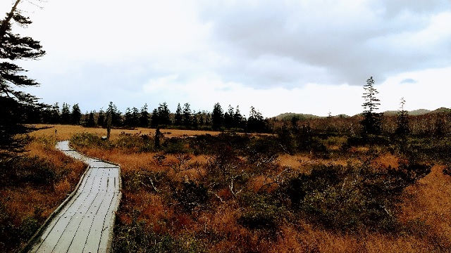 f:id:akirosso:20201028210200j:plain f:id:akirosso:20201028210200j:plain