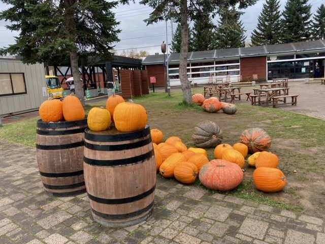 f:id:akirosso:20201028212611j:plain f:id:akirosso:20201028212611j:plain