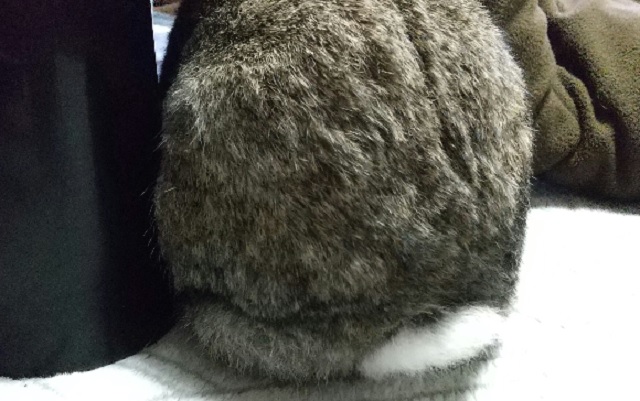 f:id:akirosso:20201211212154j:plain