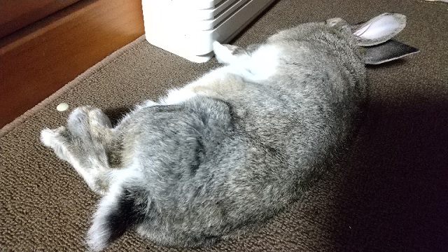f:id:akirosso:20201223081105j:plain