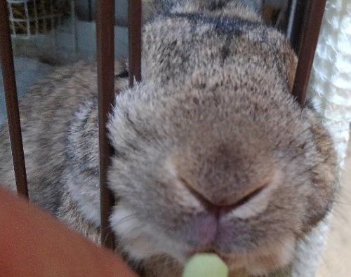 f:id:akirosso:20201224085353j:plain