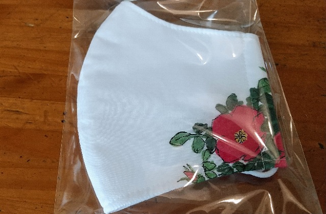 f:id:akirosso:20210102153917j:plain